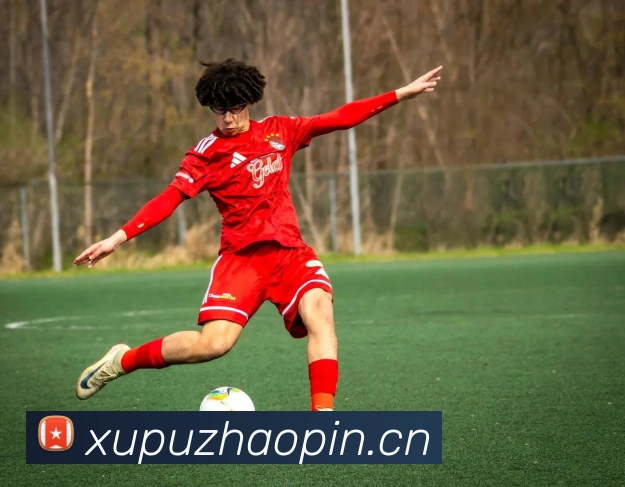 开云app平台生态图